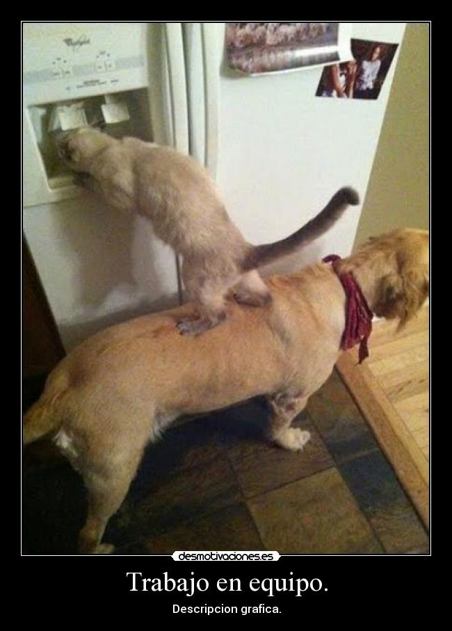 Trabajo en equipo. - 