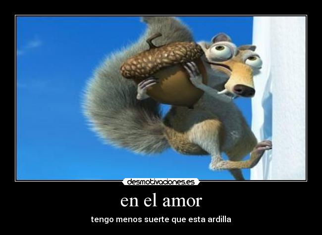 en el amor - tengo menos suerte que esta ardilla