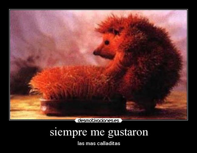 siempre me gustaron - 