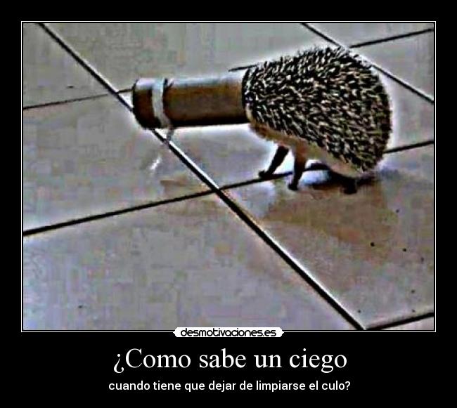 ¿Como sabe un ciego - cuando tiene que dejar de limpiarse el culo?