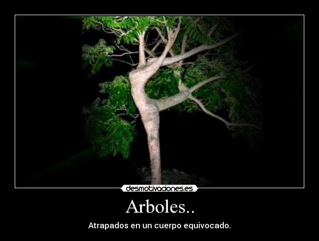 carteles agmg arboles atrapados desmotivaciones
