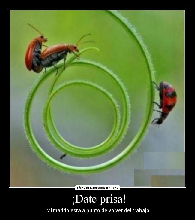 ¡Date prisa! - Mi marido está a punto de volver del trabajo