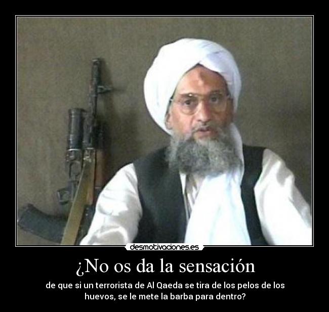 ¿No os da la sensación - 