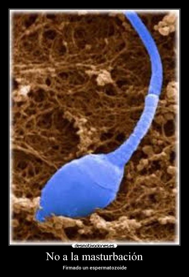 No a la masturbación - Firmado un espermatozoide