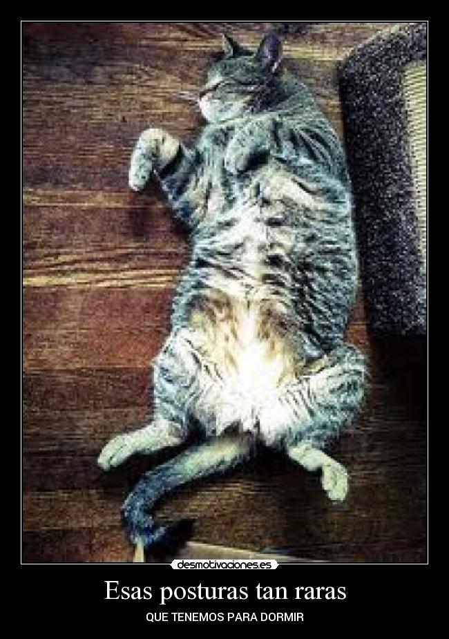 Esas posturas tan raras - QUE TENEMOS PARA DORMIR