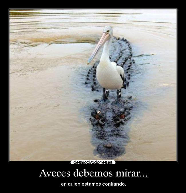 Aveces debemos mirar... -