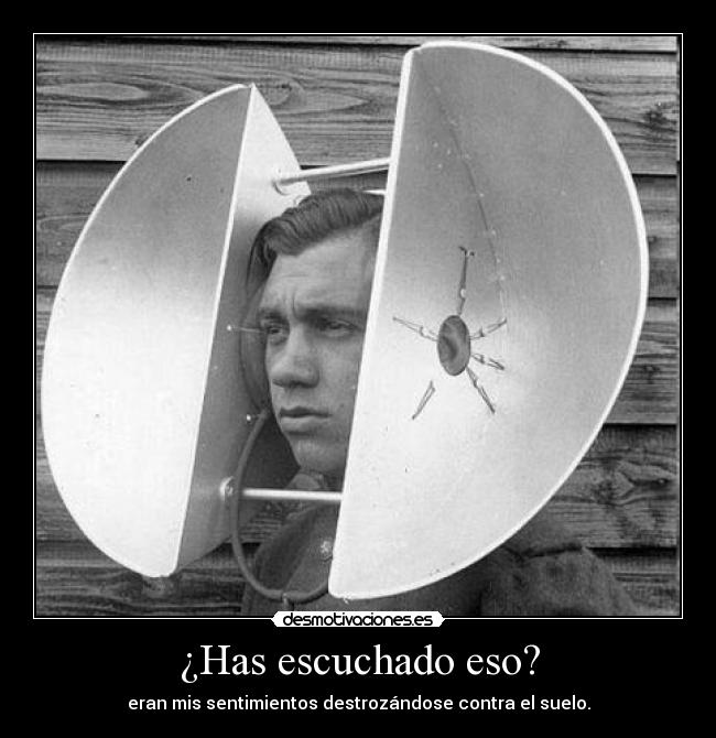 ¿Has escuchado eso? - 