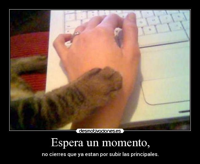 Espera un momento, -