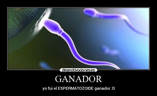 GANADOR -
