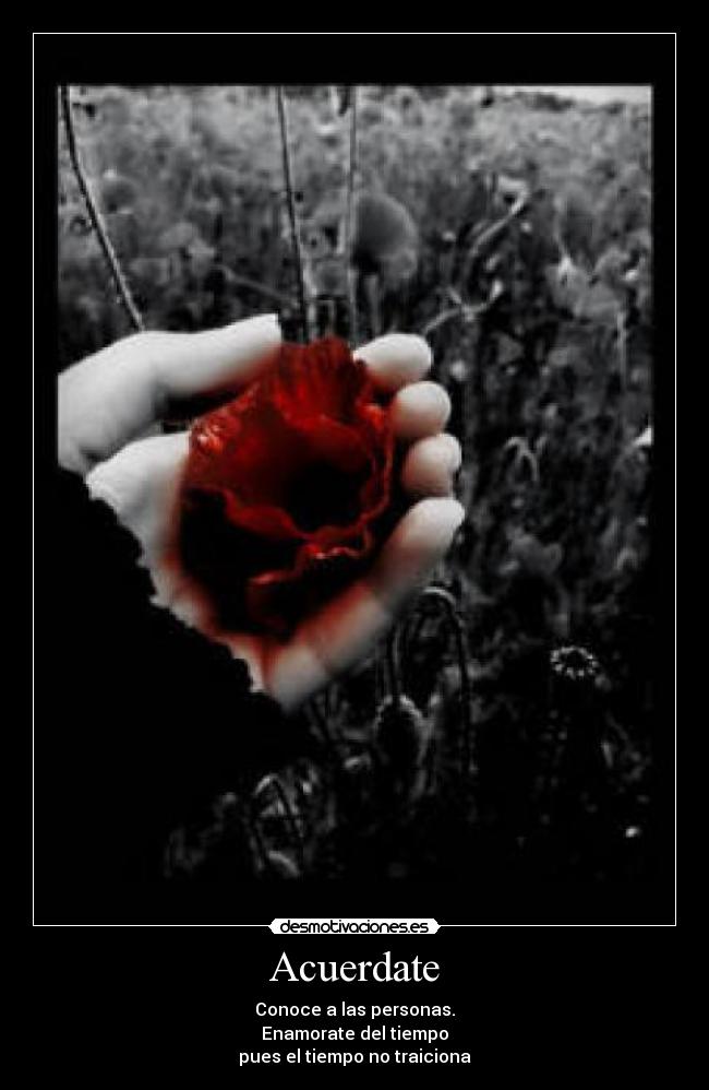 Acuerdate - Conoce a las personas.
Enamorate del tiempo
pues el tiempo no traiciona