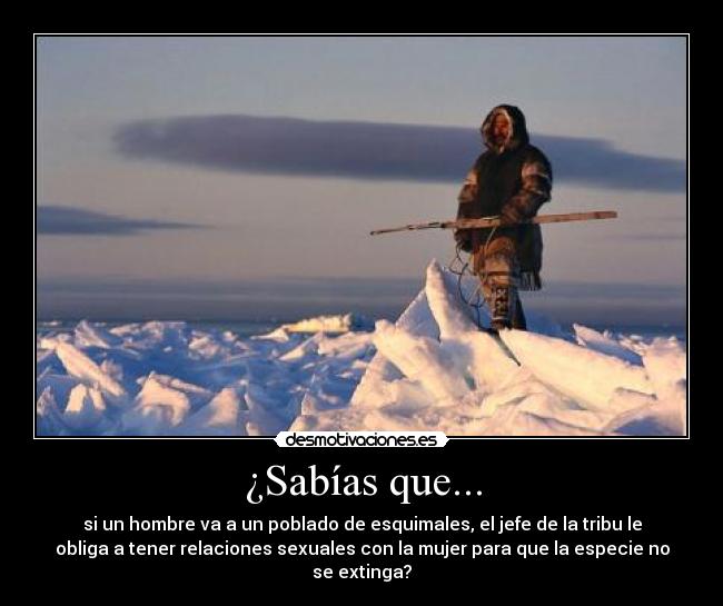 carteles esquimales desmotivaciones