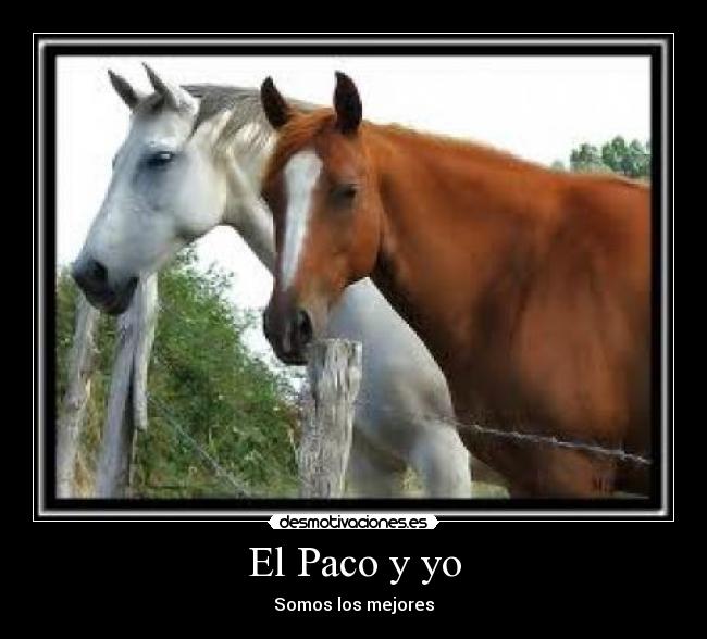 El Paco y yo - 
