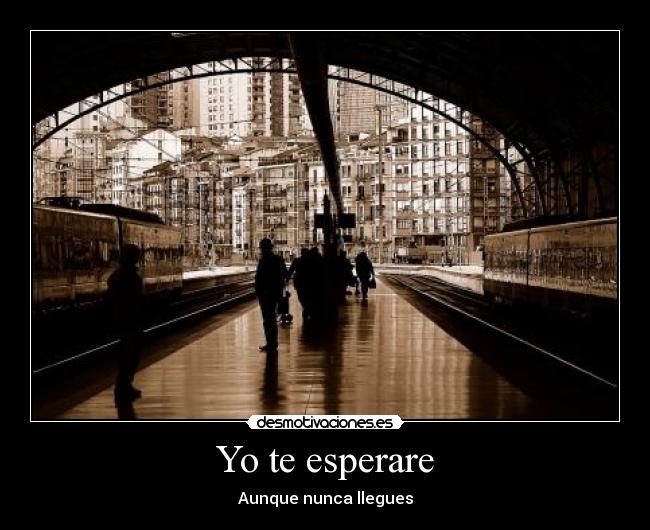 Yo te esperare -