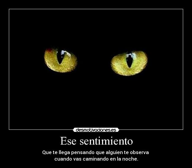 Ese sentimiento - Que te llega pensando que alguien te observa
cuando vas caminando en la noche.