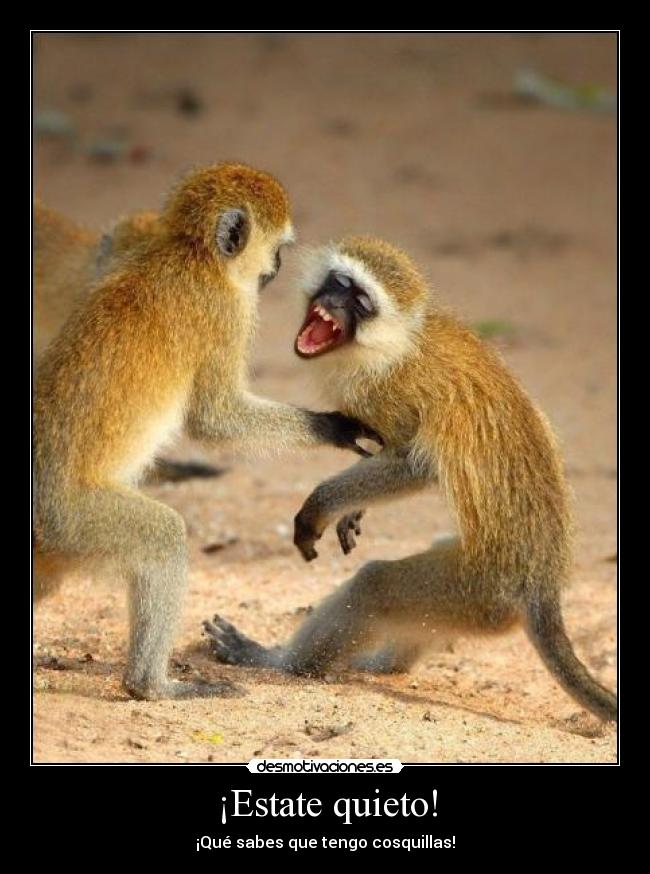 ¡Estate quieto! - 