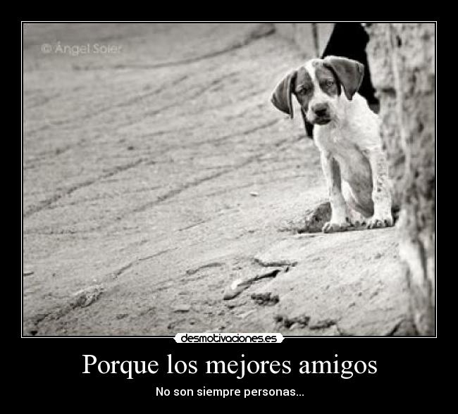 Porque los mejores amigos - 