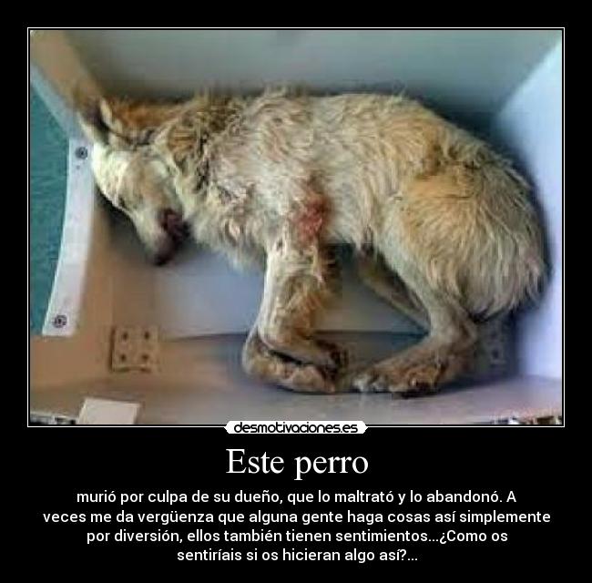 Este perro - murió por culpa de su dueño, que lo maltrató y lo abandonó. A
veces me da vergüenza que alguna gente haga cosas así simplemente
por diversión, ellos también tienen sentimientos...¿Como os
sentiríais si os hicieran algo así?...