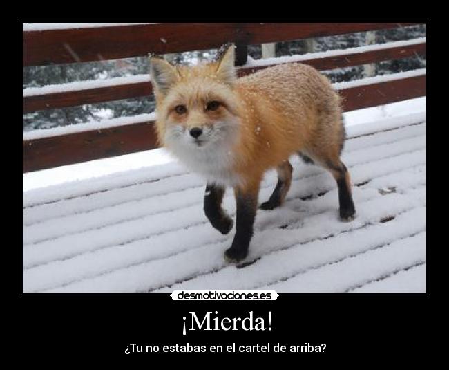 ¡Mierda! - 