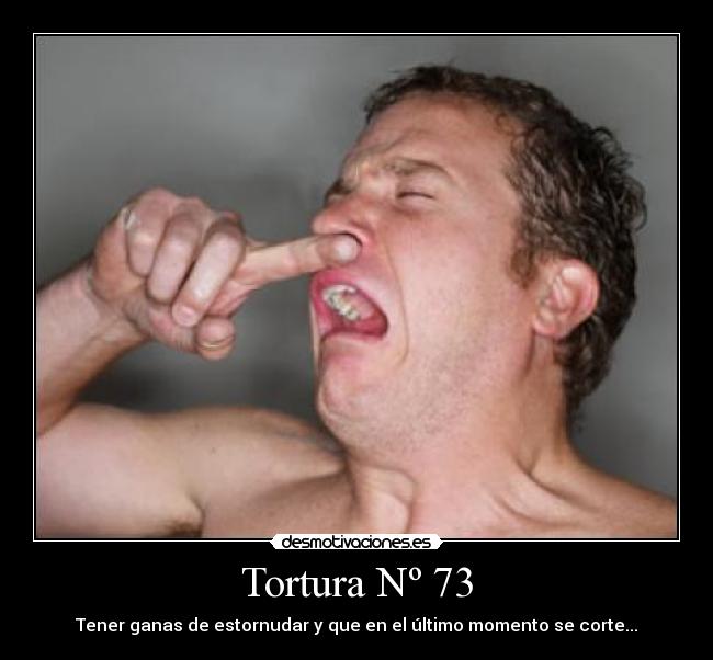 Tortura Nº 73 - Tener ganas de estornudar y que en el último momento se corte...