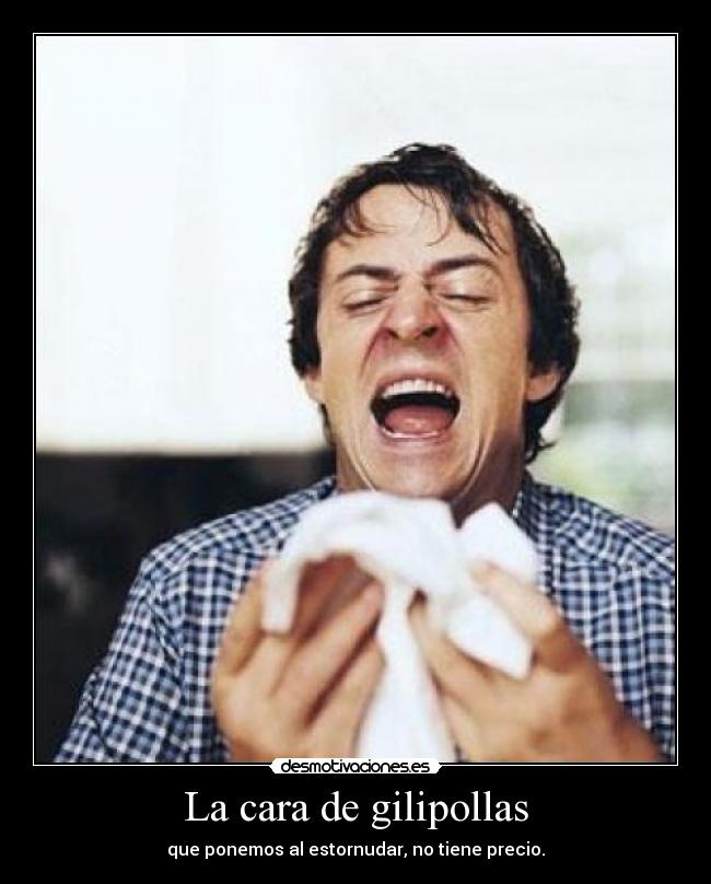 carteles elmasanonimo desmotivaciones