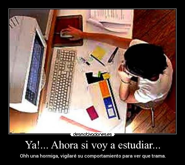 Ya!... Ahora si voy a estudiar... - 