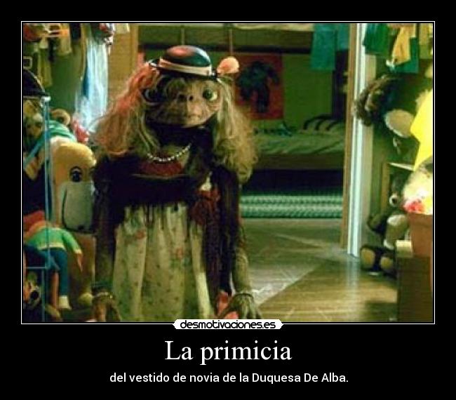 La primicia - del vestido de novia de la Duquesa De Alba.