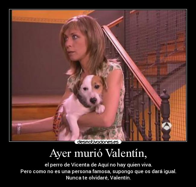 Ayer murió Valentín, - el perro de Vicenta de Aquí no hay quien viva.
Pero como no es una persona famosa, supongo que os dará igual.
Nunca te olvidaré, Valentín.