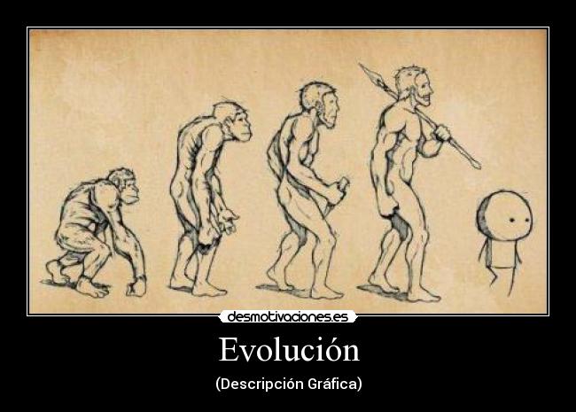 Evolución - (Descripción Gráfica)