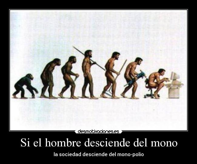 Si el hombre desciende del mono -