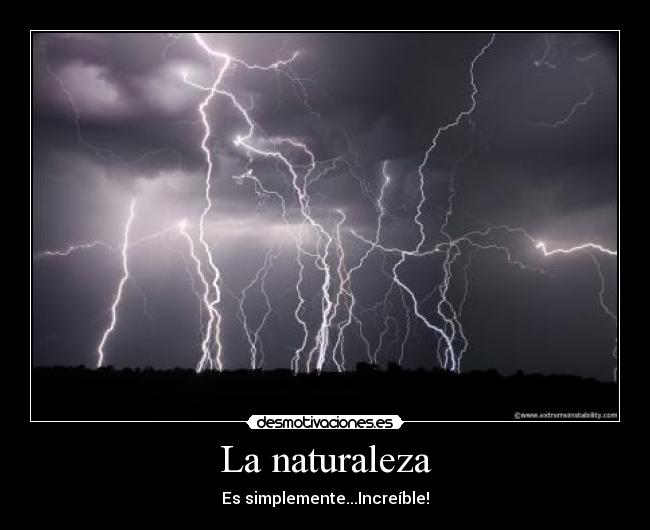 La naturaleza - Es simplemente...Increíble!