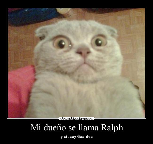 Mi dueño se llama Ralph - 