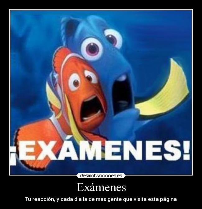 Exámenes - Tu reacción, y cada dia la de mas gente que visita esta página