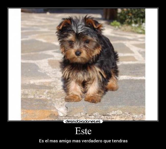 carteles maveintimilla desmotivaciones