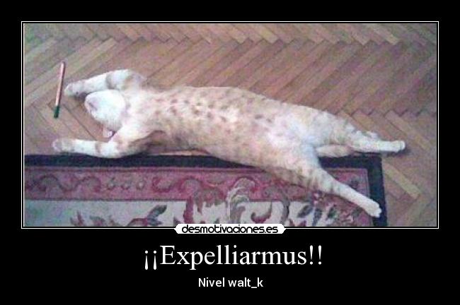 ¡¡Expelliarmus!! - 