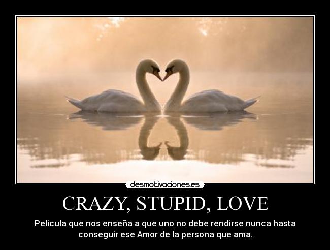 CRAZY, STUPID, LOVE - Pelicula que nos enseña a que uno no debe rendirse nunca hasta
conseguir ese Amor de la persona que ama.