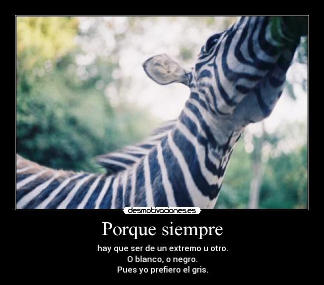 Porque siempre - hay que ser de un extremo u otro.
O blanco, o negro.
Pues yo prefiero el gris.