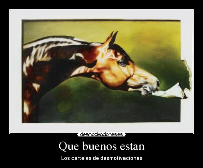 Que buenos estan - Los carteles de desmotivaciones
