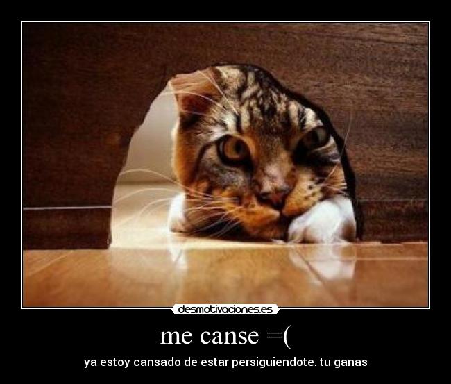 carteles estoy cansado ganas desmotivaciones