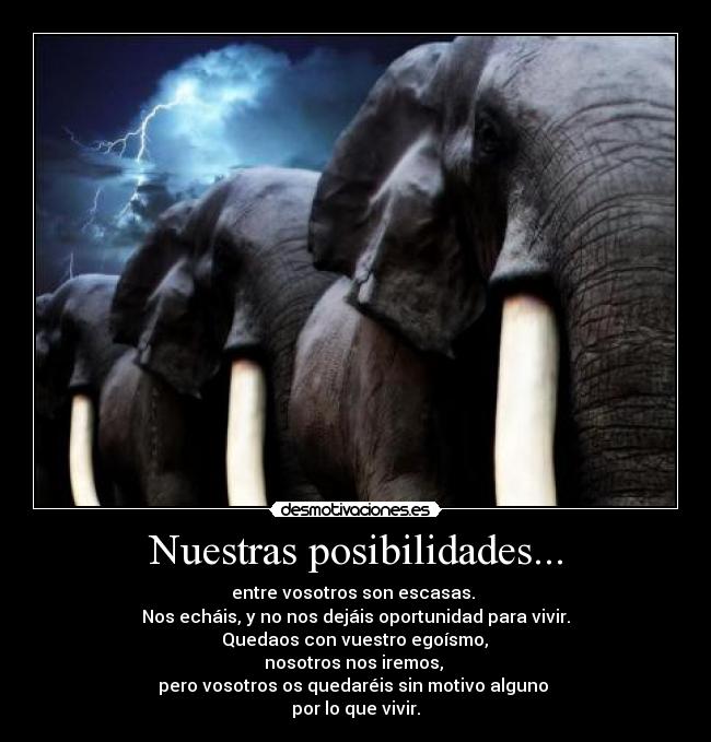 Nuestras posibilidades... -