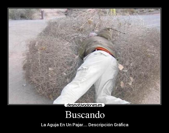 Buscando - La Aguja En Un Pajar.... Descripción Gráfica