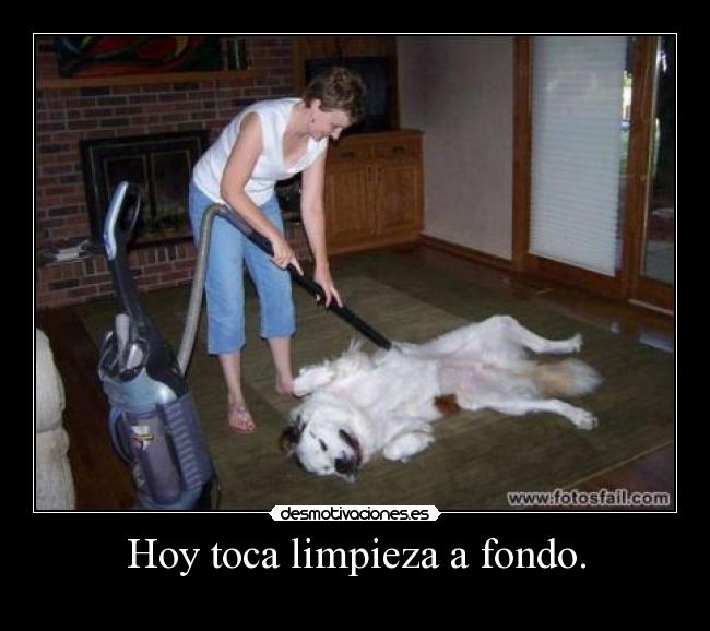 carteles hay estar limpio jaja desmotivaciones