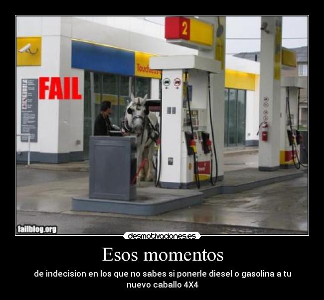 carteles caballo gasolina desicion fail combustible animal desmotivaciones