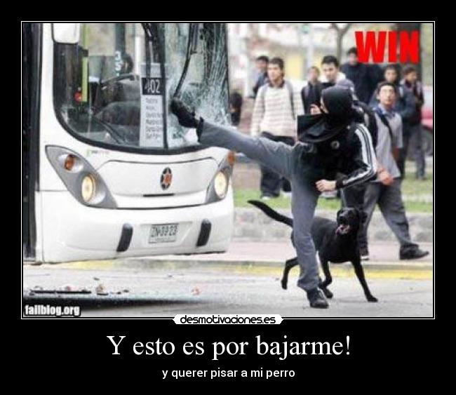 carteles ninja desmotivaciones