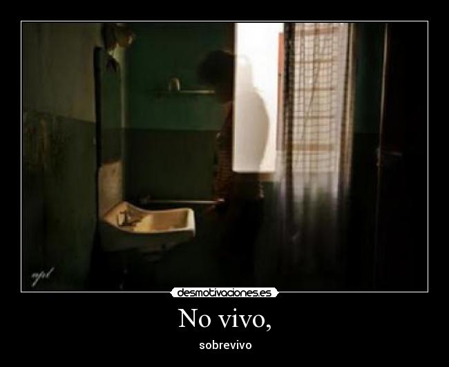 No vivo, - 