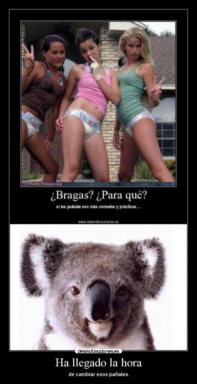 carteles kolangi for president clanng desmotivaciones