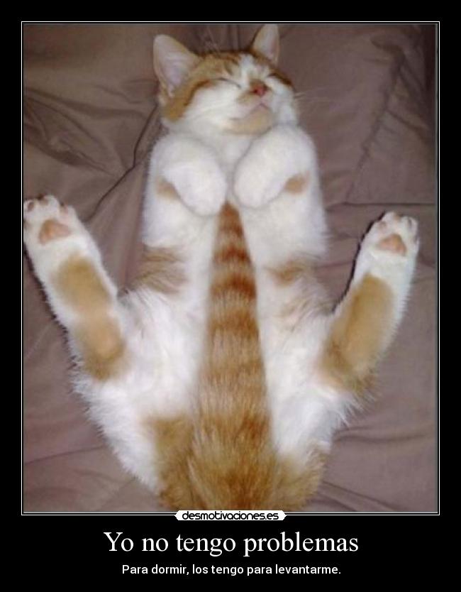 Yo no tengo problemas - Para dormir, los tengo para levantarme.