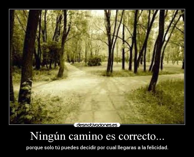 Ningún camino es correcto... - porque solo tú puedes decidir por cual llegaras a la felicidad.