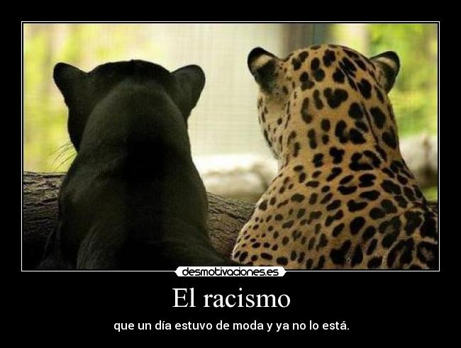 El racismo -