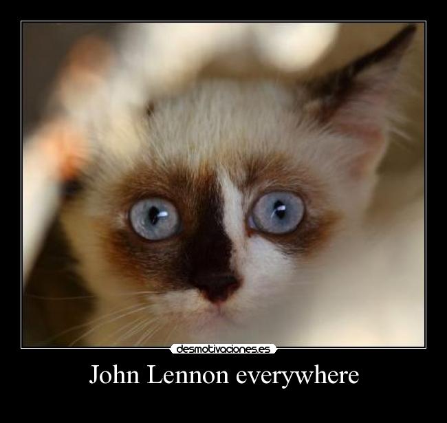 John Lennon everywhere -
