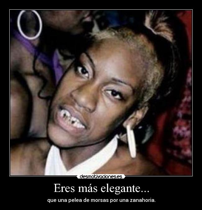 Eres más elegante... - que una pelea de morsas por una zanahoria.